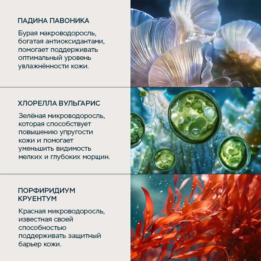 Крем для лица Морские водоросли Про-Коллаген SPF 30 50 мл