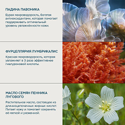Микрокапсулированная сыворотка Роза Про-Коллаген 30 мл