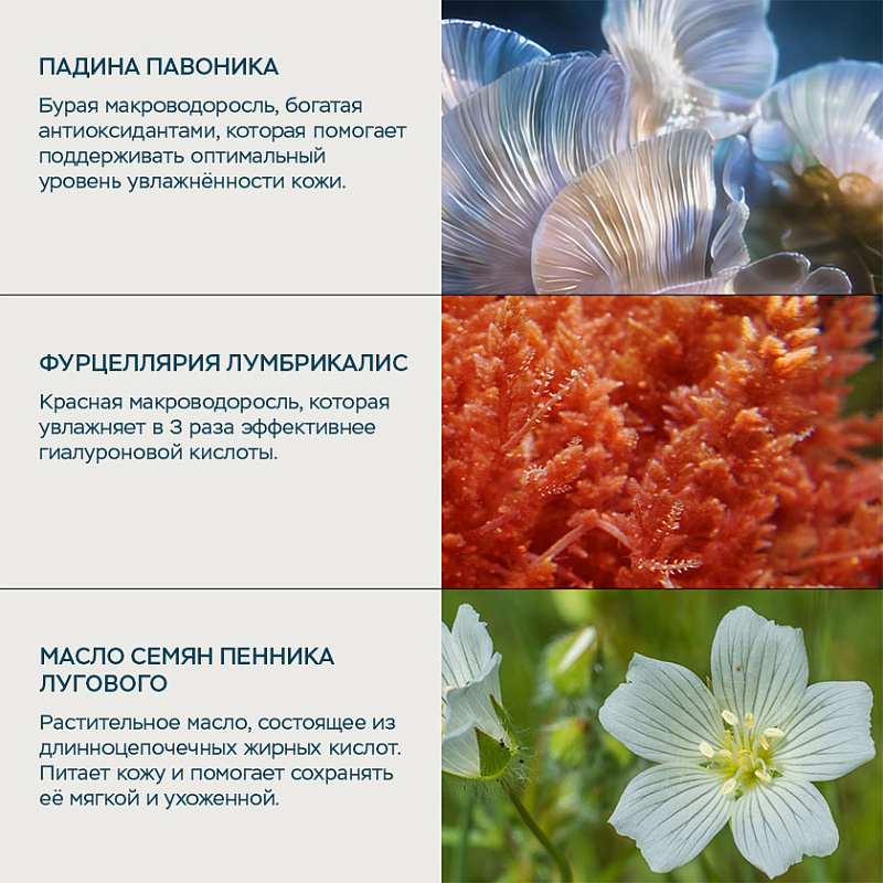 Микрокапсулированная сыворотка Роза Про-Коллаген 30 мл