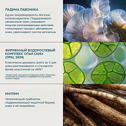Набор-знакомство "Сила Про-Коллаген"